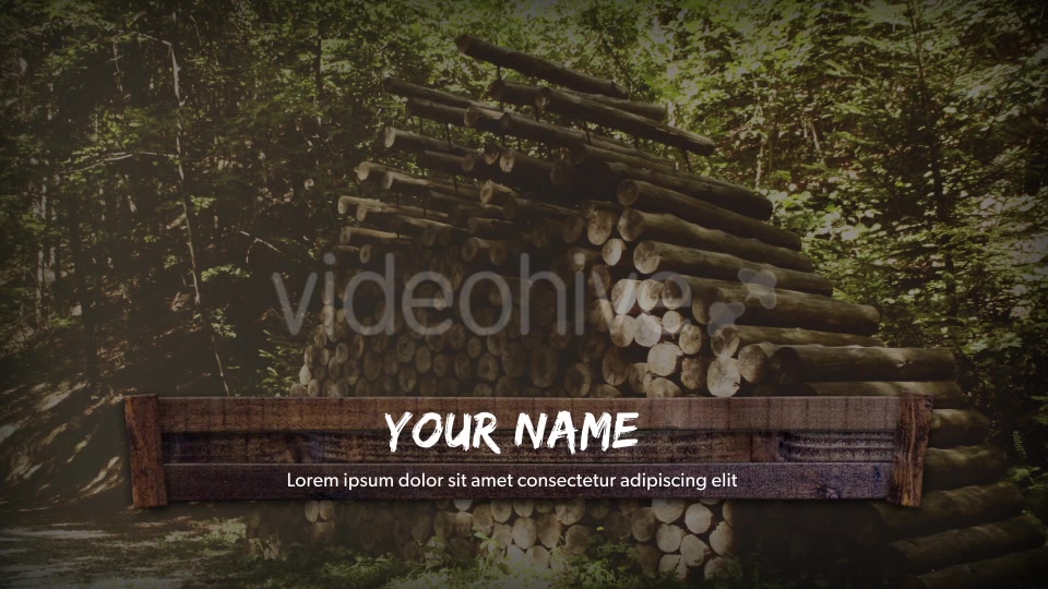 Woody Lower Thirds Videohive 17549687 Motion Graphics Image 4
