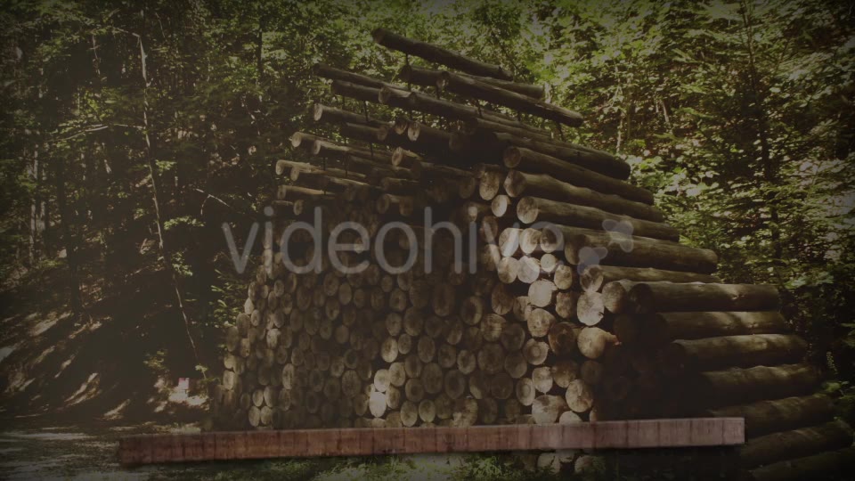 Woody Lower Thirds Videohive 17549687 Motion Graphics Image 6