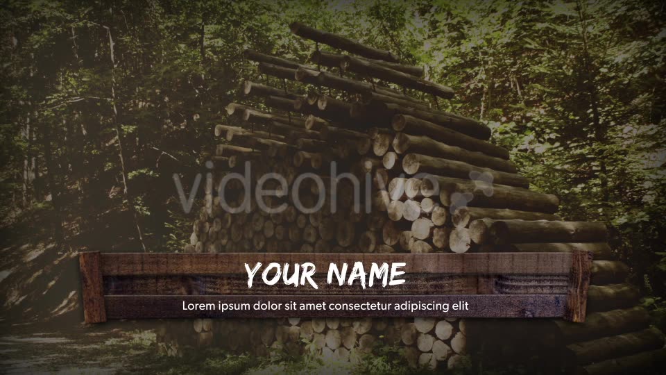 Woody Lower Thirds Videohive 17549687 Motion Graphics Image 7
