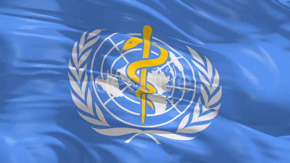 World Health Organization(WHO) Flag 4K Videohive 16589051 Motion Graphics Image 3