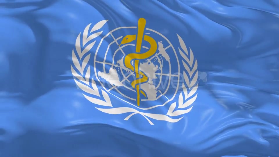 World Health Organization(WHO) Flag 4K Videohive 16589051 Motion Graphics Image 7