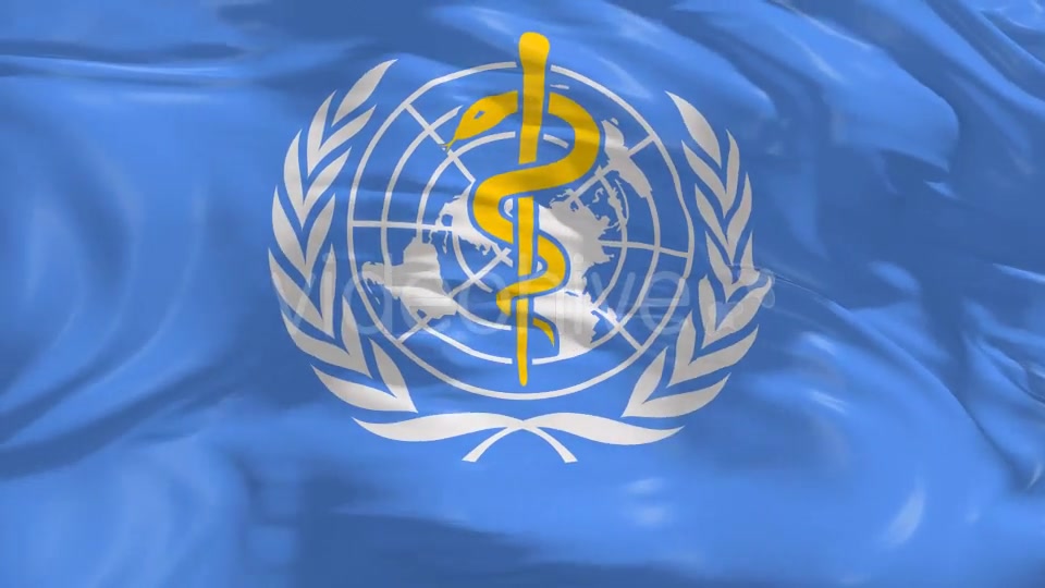 World Health Organization(WHO) Flag 4K Videohive 16589051 Motion Graphics Image 8