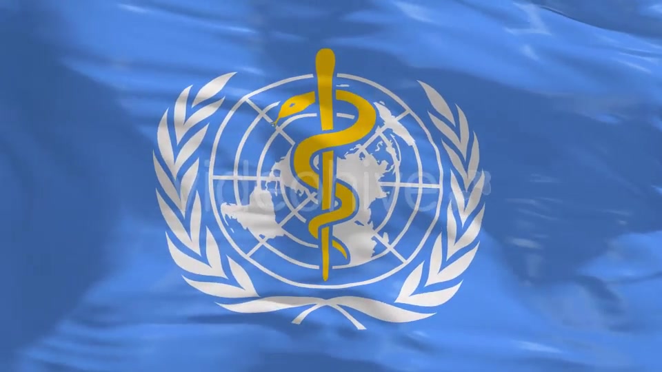 World Health Organization(WHO) Flag 4K Videohive 16589051 Motion Graphics Image 9