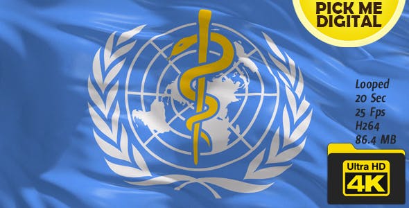 World Health Organization(WHO) Flag 4K - Videohive Download 16589051