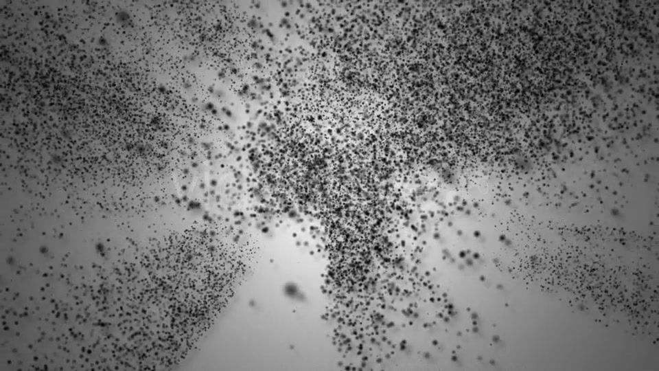 World Map Particles Formation (2 Pack) Videohive 12172109 Motion Graphics Image 4