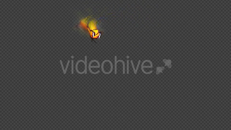 Yellow Butterfly Dynamic Flying Particle Tail Videohive 18599655 Motion Graphics Image 10