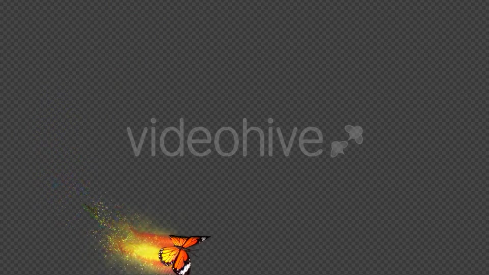 Yellow Butterfly Dynamic Flying Particle Tail Videohive 18599655 Motion Graphics Image 11