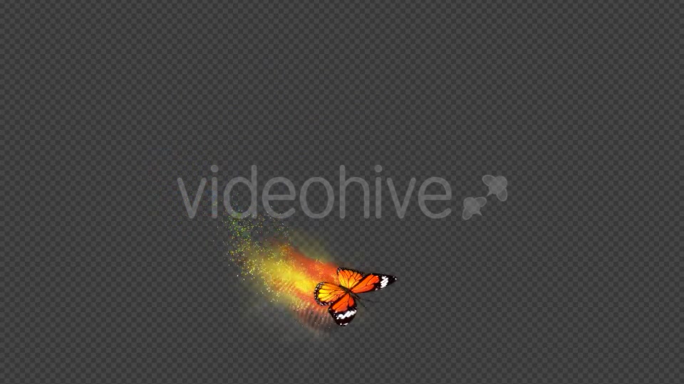 Yellow Butterfly Dynamic Flying Particle Tail Videohive 18599655 Motion Graphics Image 12