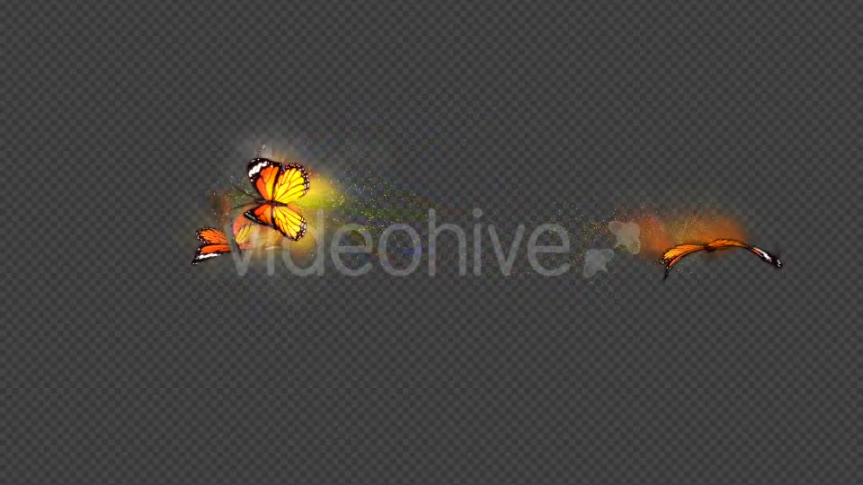 Yellow Butterfly Dynamic Flying Particle Tail Videohive 18599655 Motion Graphics Image 2