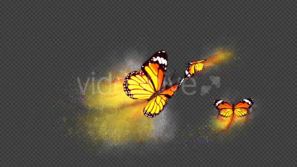 Yellow Butterfly Dynamic Flying Particle Tail Videohive 18599655 Motion Graphics Image 3