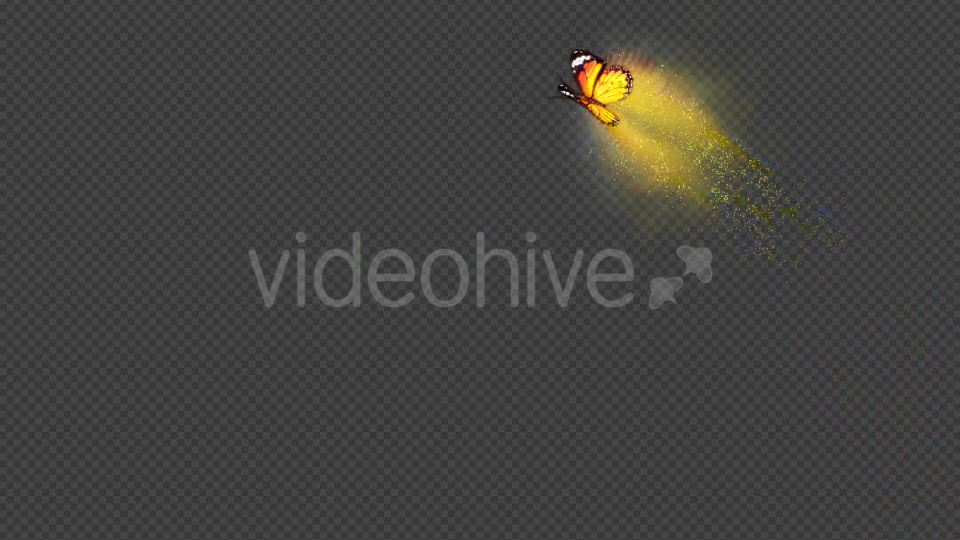 Yellow Butterfly Dynamic Flying Particle Tail Videohive 18599655 Motion Graphics Image 4