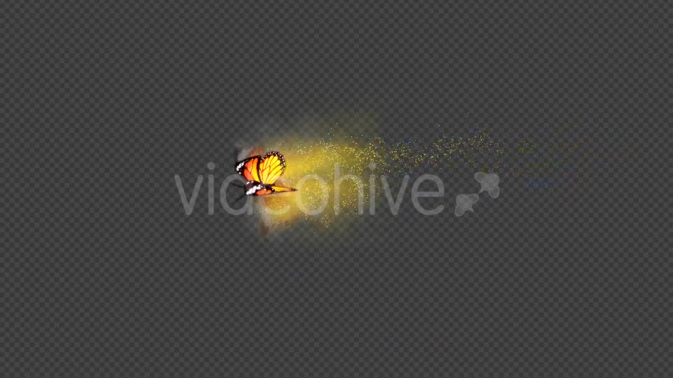 Yellow Butterfly Dynamic Flying Particle Tail Videohive 18599655 Motion Graphics Image 6