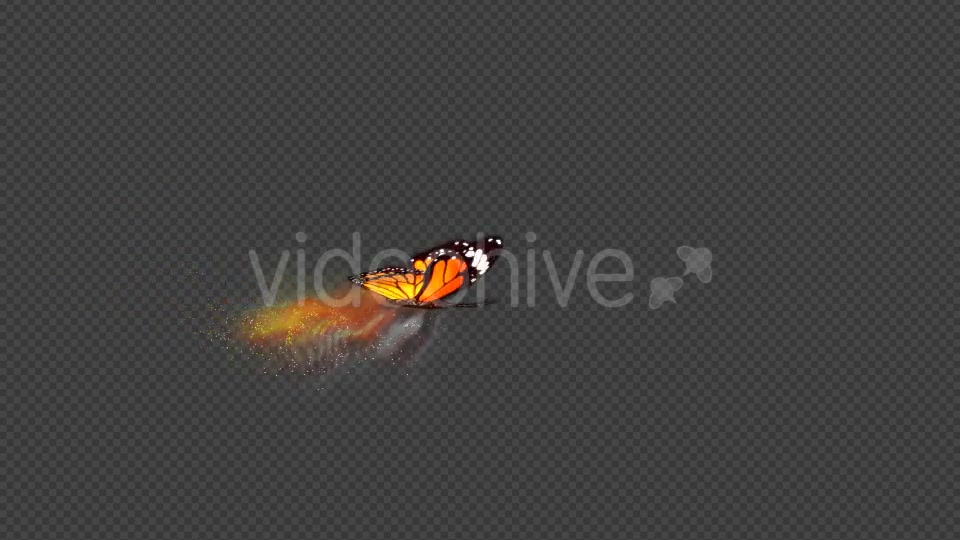 Yellow Butterfly Dynamic Flying Particle Tail Videohive 18599655 Motion Graphics Image 8