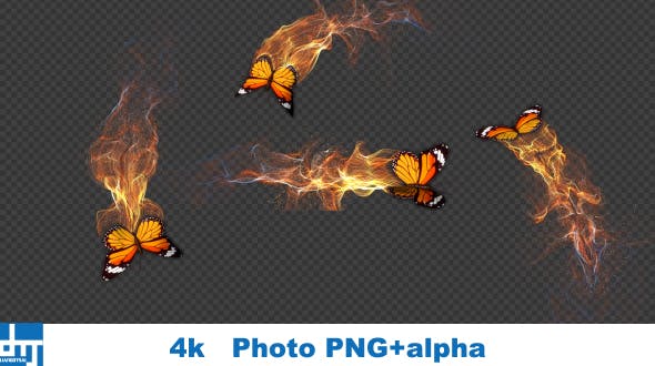 Yellow Butterfly Gorgeous Particle Light Trailing Flying V3 - Videohive Download 18630652