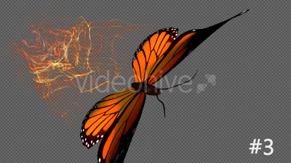 Yellow Butterfly Particle Trailing Flying Transtion 3 In 1 Videohive 19099442 Motion Graphics Image 11