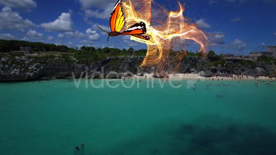Yellow Butterfly Particle Trailing Flying Transtion 3 In 1 Videohive 19099442 Motion Graphics Image 3