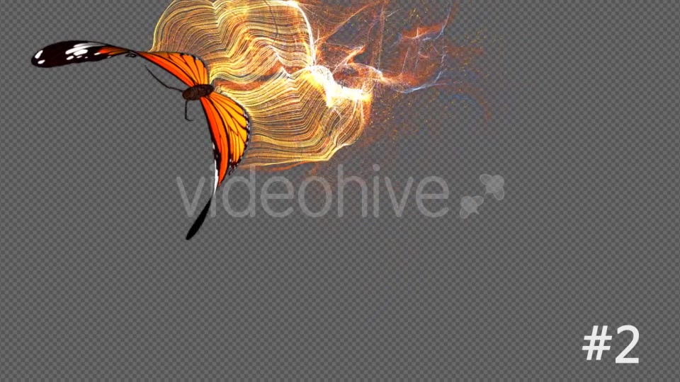 Yellow Butterfly Particle Trailing Flying Transtion 3 In 1 Videohive 19099442 Motion Graphics Image 8