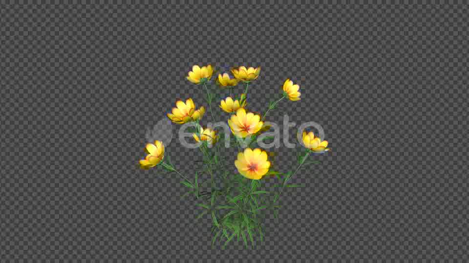 Yellow Flowers Videohive 22392014 Motion Graphics Image 10