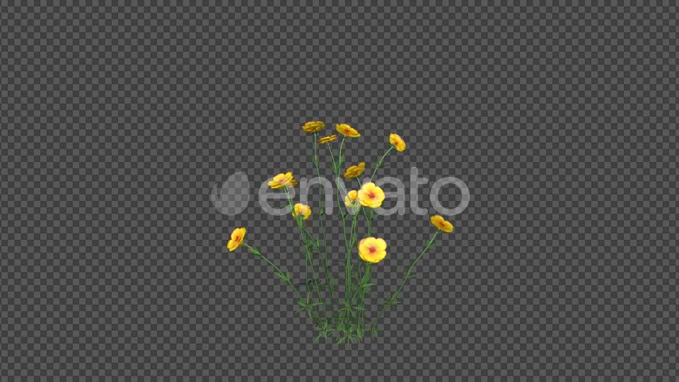 Yellow Flowers Videohive 22392014 Motion Graphics Image 3
