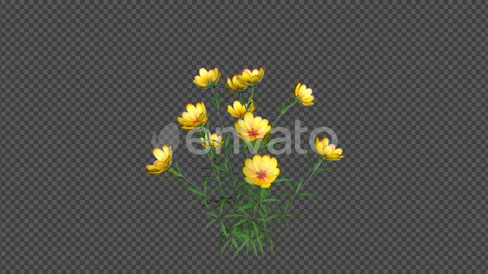 Yellow Flowers Videohive 22392014 Motion Graphics Image 4