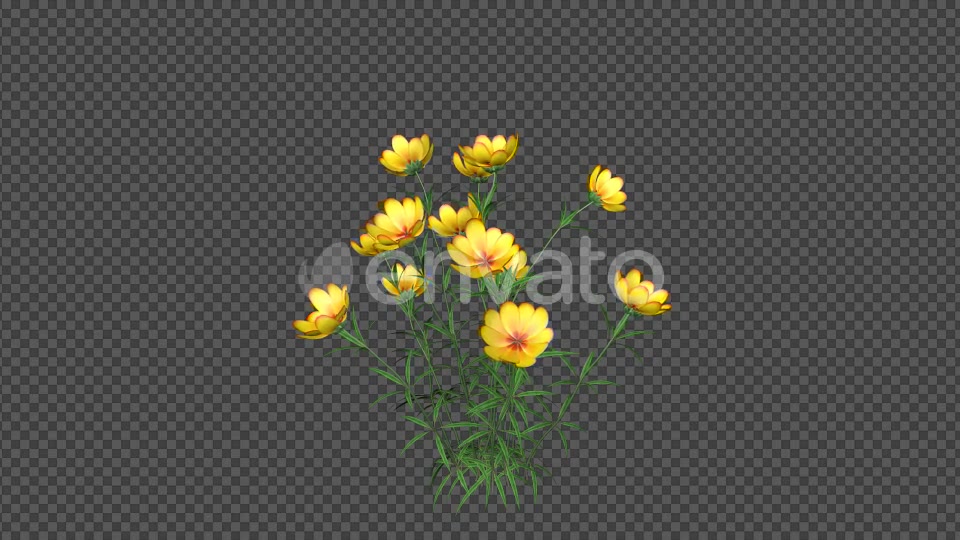 Yellow Flowers Videohive 22392014 Motion Graphics Image 5