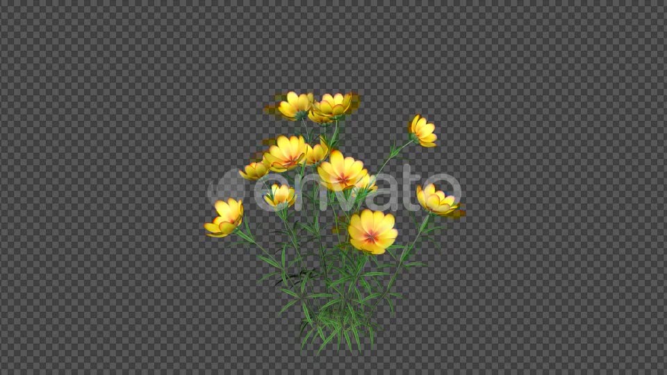 Yellow Flowers Videohive 22392014 Motion Graphics Image 6