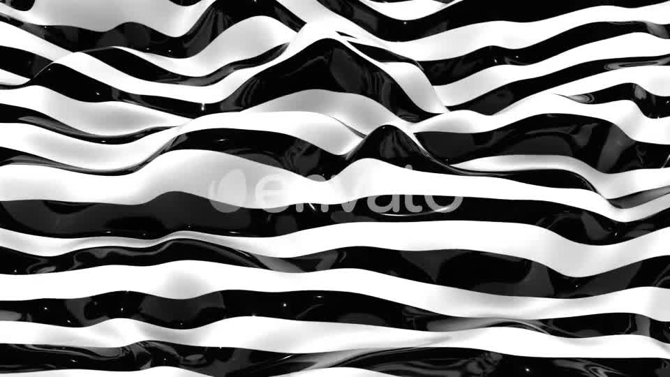 Zebra Lines 7 Videohive 22990988 Motion Graphics Image 1