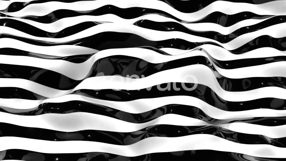 Zebra Lines 7 Videohive 22990988 Motion Graphics Image 2
