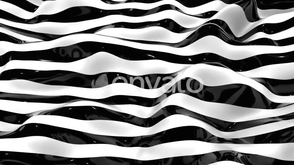 Zebra Lines 7 Videohive 22990988 Motion Graphics Image 3