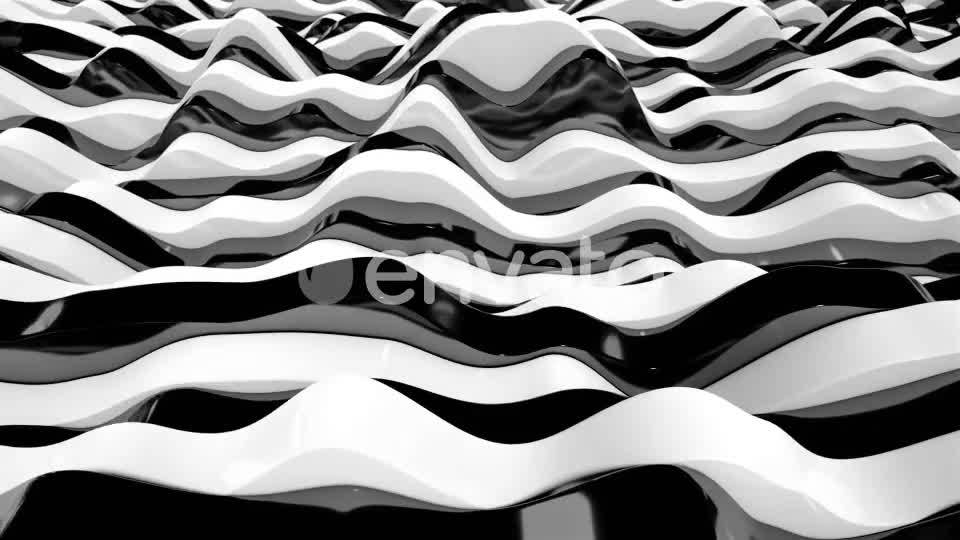 Zebra Stripes 11 Videohive 23039529 Motion Graphics Image 1