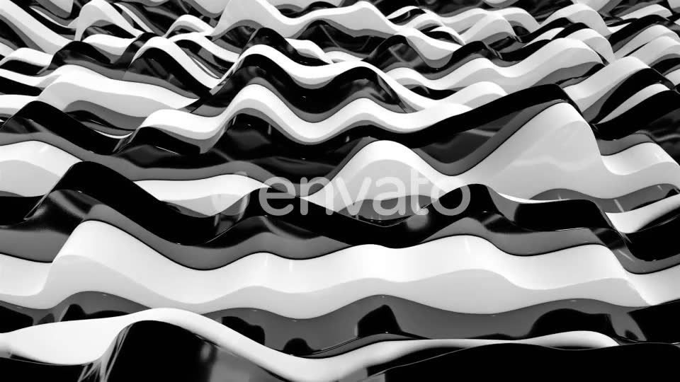 Zebra Stripes 11 Videohive 23039529 Motion Graphics Image 11