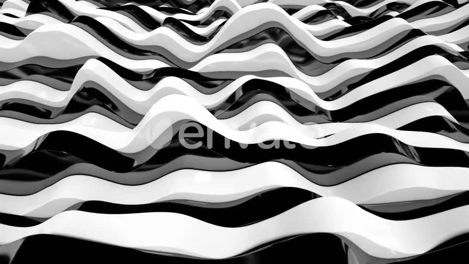 Zebra Stripes 11 Videohive 23039529 Motion Graphics Image 12