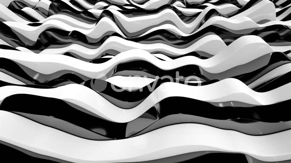 Zebra Stripes 11 Videohive 23039529 Motion Graphics Image 3