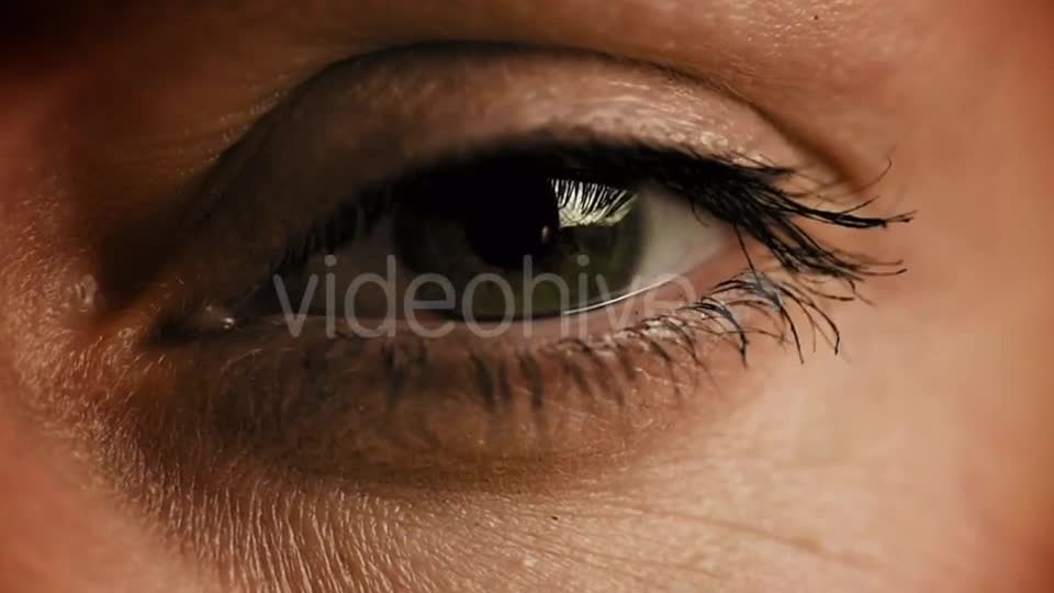 Zoom Into Eye Iris To Math Equations Mess Videohive 21010681 Motion Graphics Image 1
